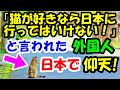 「猫が好きなら日本に行ってはいけない！」と言われた外国人。日本で出会った猫のある物に衝撃 【猫の不思議な話】【朗読】