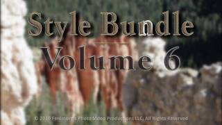 Proshow Producer Styles: Volume 6