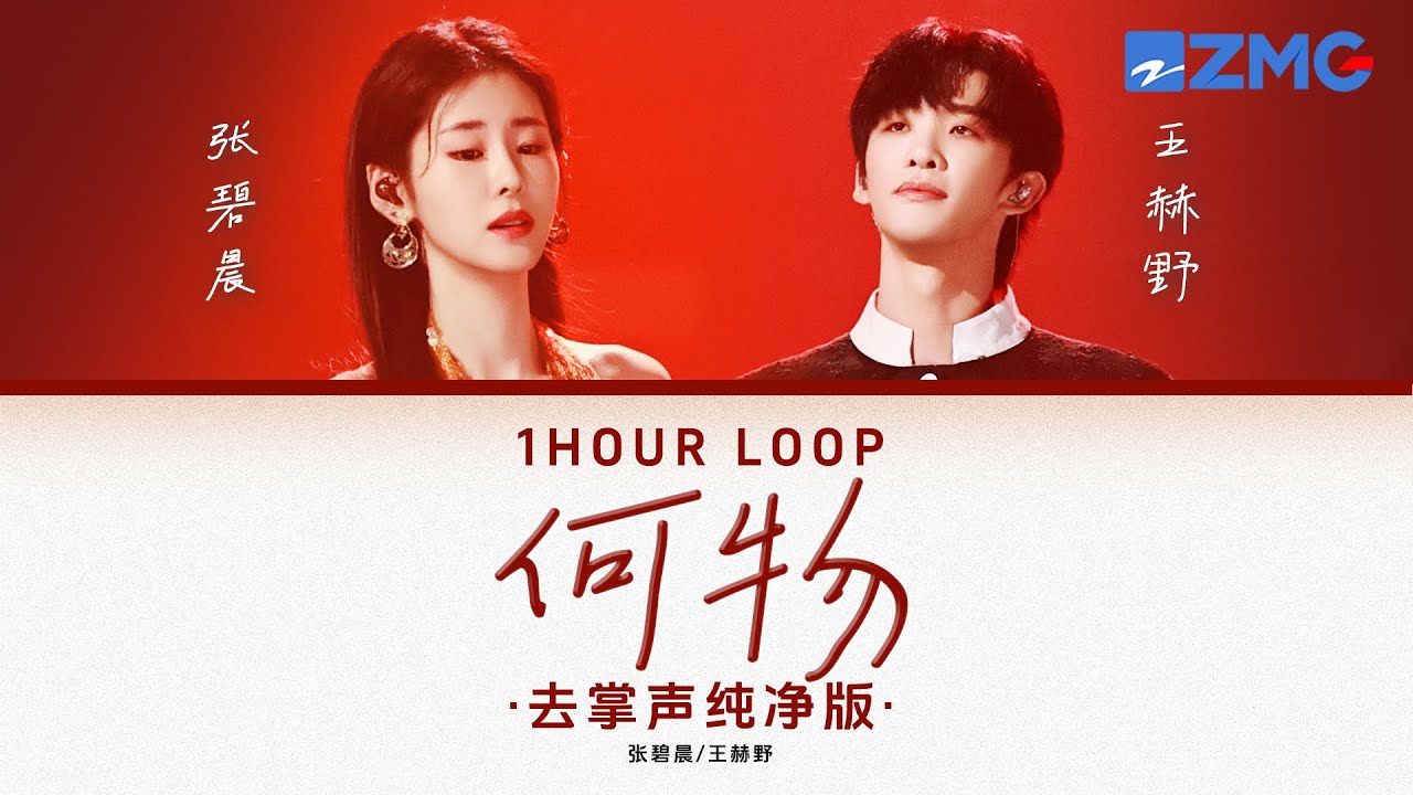 去掌聲純淨版 張碧晨& 王赫野 – 《何物》 「 我白天是個搞笑廢物表演不在乎 夜晚變成憂傷怪物撕扯着孤獨♪ 」 #動態歌詞 #lyrics #1hourloop #天賜的聲音