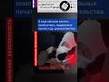 АРЕСТ ОРГАНИЗАТОРОВ НЕЗАКОННОЙ МИГРАЦИИ // "НЕЙРОСИНТЕЗ" - СПОНСОР КАНАЛА