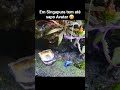 Foi no aquário de Singapura ❤️