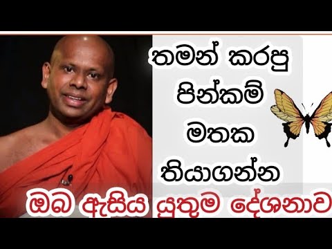 කාලීන ධර්ම දේශනා 🙏🌼🌿 | නිතරම සිහිකළ යුතු දේ 🌺 | dhamma teaching  #viral #buddha #dhmmateching 