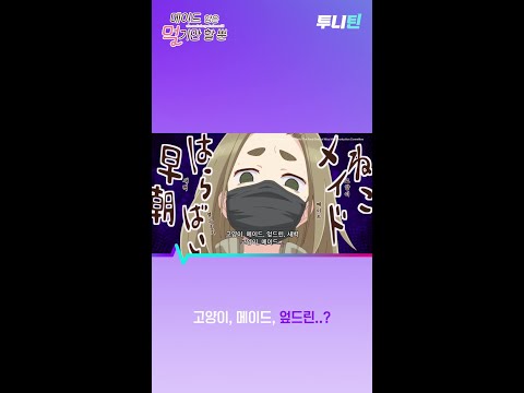 투니틴 ㅣ 고양이, 메이드, 엎드린..? [메이드 양은 먹기만 할 뿐(자막)] 제 1화 : 붕어빵, 다코야키, 당고, 편의점 주먹밥, 바움쿠헨