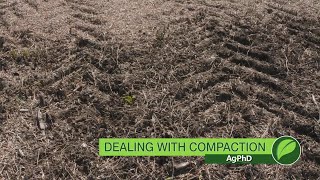 Compaction and Zone Building #1019 (Air Date 10-15-17) screenshot 2