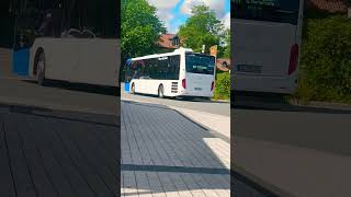 Busse #music #ihavethisthingwithplants #travel  #bus #spotten