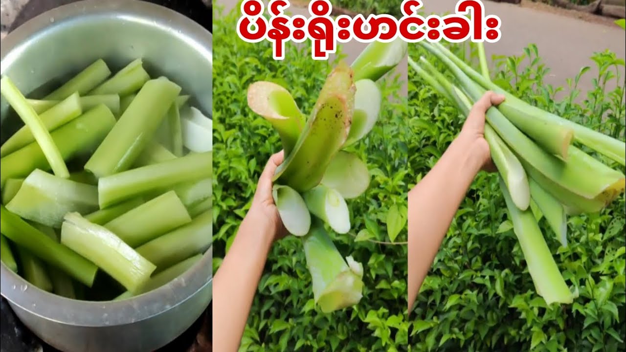 ပိန်းရိုးဟင်းခါး ချက်သောက်ကြမယ် လုံးဝမယားပါဘူးနော်