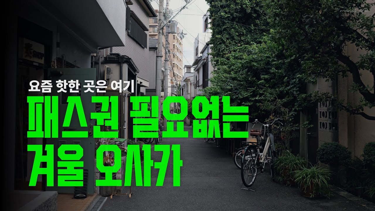 오사카, 교토를 겨울에 가야하는 이유, 오사카 4박 5일, 교토 겨울여행, kyoto vlog, osaka vlog