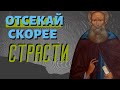 О том, что должно стараться скорее отсекать страсти - Авва Дорофей