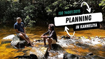 ISO 14001:2015 | Planning for Environmental Success 🌱📝