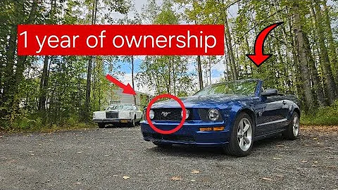 Why YOU should BUY a s197 Mustang!