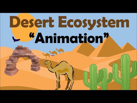사막 생태계 | 생물학 애니메이션