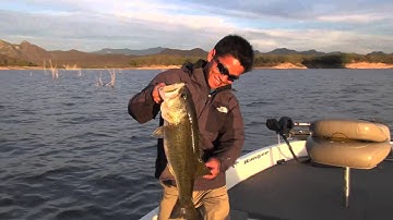 Bass fishing-2 with Gong Lei.