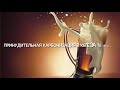 Принудительная карбонизация пива в ПЭТ кеге за 15 минут