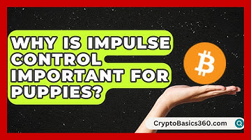 Why Is Impulse Control Important for Puppies? | Obedient Dog Guide