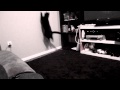 The Light Vs. The Cat