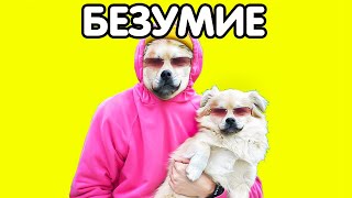 Holy Baam - Песня Про Тихона Безумие (@Holybaam)