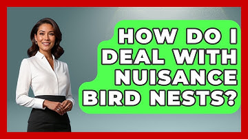 How Do I Deal With Nuisance Bird Nests? - Bird Watching Diaries