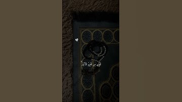 قرآن كريم راحة نفسية ❤️                 مشاري العفاسي