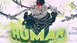 Zoro - I'm Only Human After All [AMV/EDIT] Zoro vs Kaido