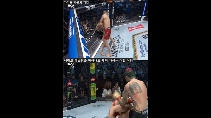 메랍 드발리쉬빌리가 션 오말리를 이기는 이유 UFC벤텀급 타이틀전 메랍vs션오말리2 / 오말리: 그래플링 실력 늘었음 다시 붙자