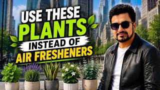 Use These Plants Instead of Air Fresheners (NASA Approved)