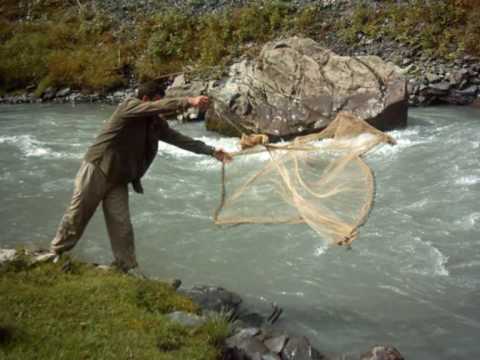 თუშური - ბასიანი tushuri - basiani