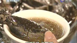 蔡韋葶台視【發現新台幣】20090219(下)