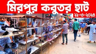 মিরপুর কবুতর হাট ২২৩২০২৪ || kobutor hat 2024 || pigeon market in bangladesh || Mirpur kobutor hat