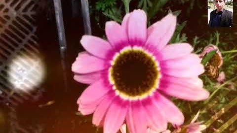 سورة الانشقاق /الشيخ عبد الولي الاركاني