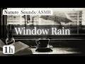 Rain Sounds for Deep Sleep and Focus,Rainy Cafe Window(1h)｜Sleep・Focus・ASMR