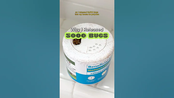 Why I Released 5000 BUGS 🪲#shorts #plants #indoorplants #houseplants #plantcare #spidermites #tips