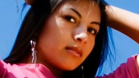 Galería de Imágenes en Flash con Actionscript 3 y XML