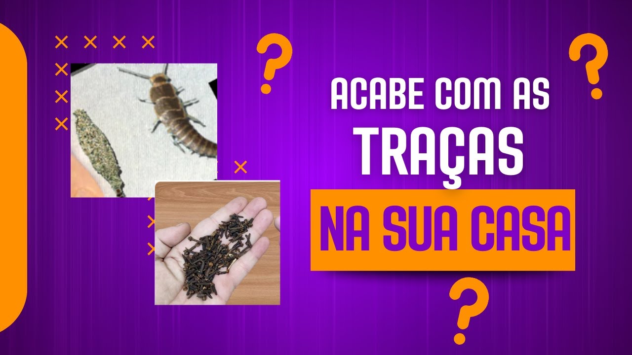 COMO ACABAR COM AS TRAÇAS E ESPANTAR BARATAS,DICA SIMPLES. - YouTube