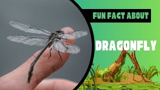 Touching the magical threshold: Discovering Heavenly Secrets about dragonflies!