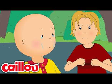 Caillou'nun yeni sınıf arkadaşı | Çocuklar için çizgi filmler | Caillou Türkçe