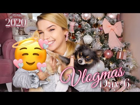 ❄️⛸ VLOGMAS 6 - Нов член на семейството 👼🏼