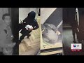 Alerta en California: robos en clínicas de cirugía