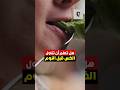 هل تعلم أن تناول الخس قبل النوم فوائد الخس ليلا الخس وفوائده فوائد النوم فوائده خس خضار