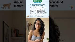 Lymphoid organs 📌 #neetaspirents #neetaspirents #neetcoachings #inspireneet #neetpreparation