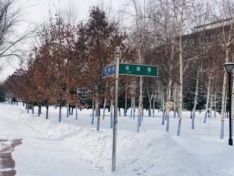 #china_Top Engineering university in the world. Harbin China. #university