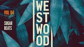 Glitch Hop Samples and Loops - Westwood Sounds Vol 4 - SugarBeats