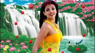 Dulhaniya Dulhaniya Teri Banegi Ye ((( Jhankar ))) HD, Dosti 2005 | Abhijeet Alka & Kunal Ganjawala