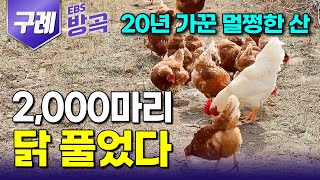 [전남 구례] 