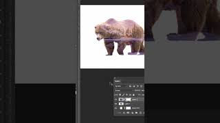 Create a Double Exposure on Photoshop