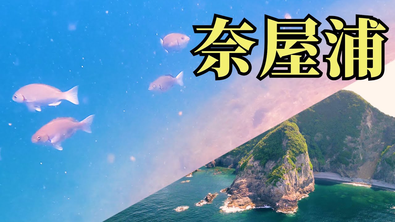 三重県奈屋浦の磯で夏グレフカセ釣り（水中映像あり） - YouTube