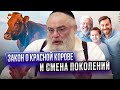 Закон о красной корове и смена поколений. Глава Торы &quot;Хукат&quot;. Рав Шая Гиссер