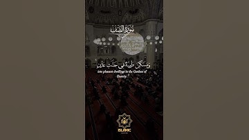 سورة الصف #قرآن #قران_كريم #quran #quranshortclip #qurantranslation #world