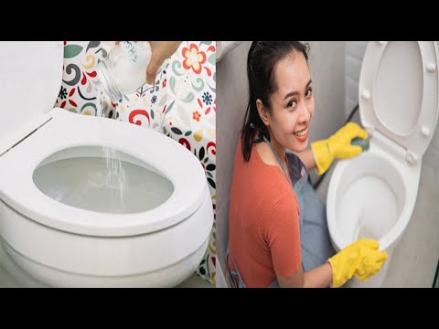 Video: A spërkasin tualetet mikrobe kur shpëlahen?