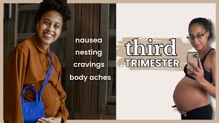 Third Trimester of Pregnancy Recap