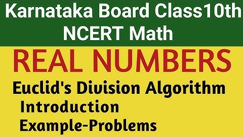 Real Numbers Class 10 NCERT Math| Euclid